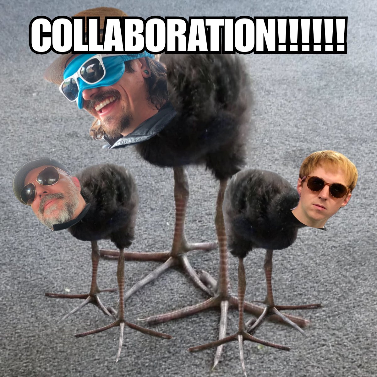 sparkbirdmusic's tweet image. fish in a birdcage, shayfer james, and sparkbird when certain birds