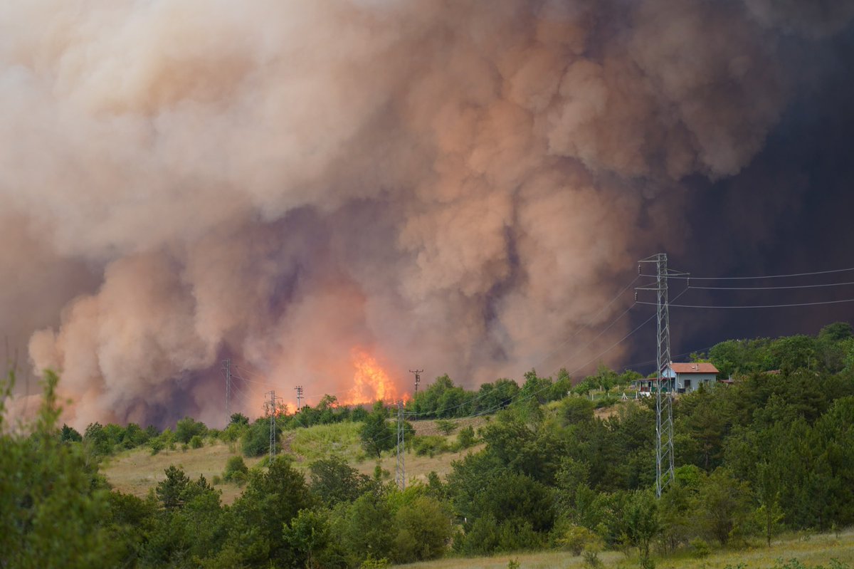 Ciğerlerimiz Yanıyor!

Gölpazarı ilçemiz ve çevresinde devam eden yangından etkilenen vatandaşlarımızın yanındayız.

Şehrimizin tüm kurumları ile birlikte koordineli şekilde çalışarak hiçbir canlı zarar görmeden bu felaketi bir an önce sonlandırmak için mücadele ediyoruz.