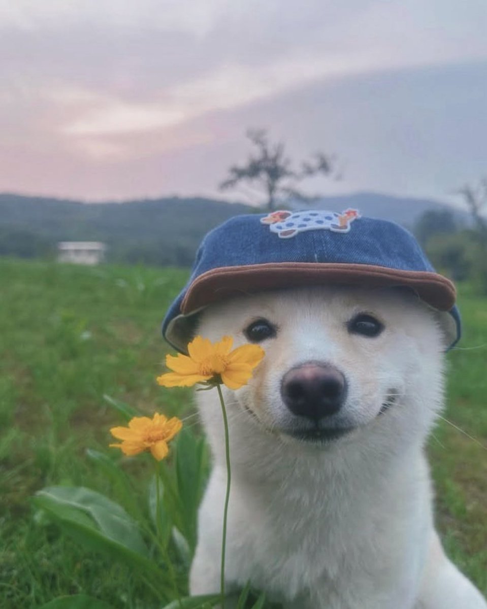 😊