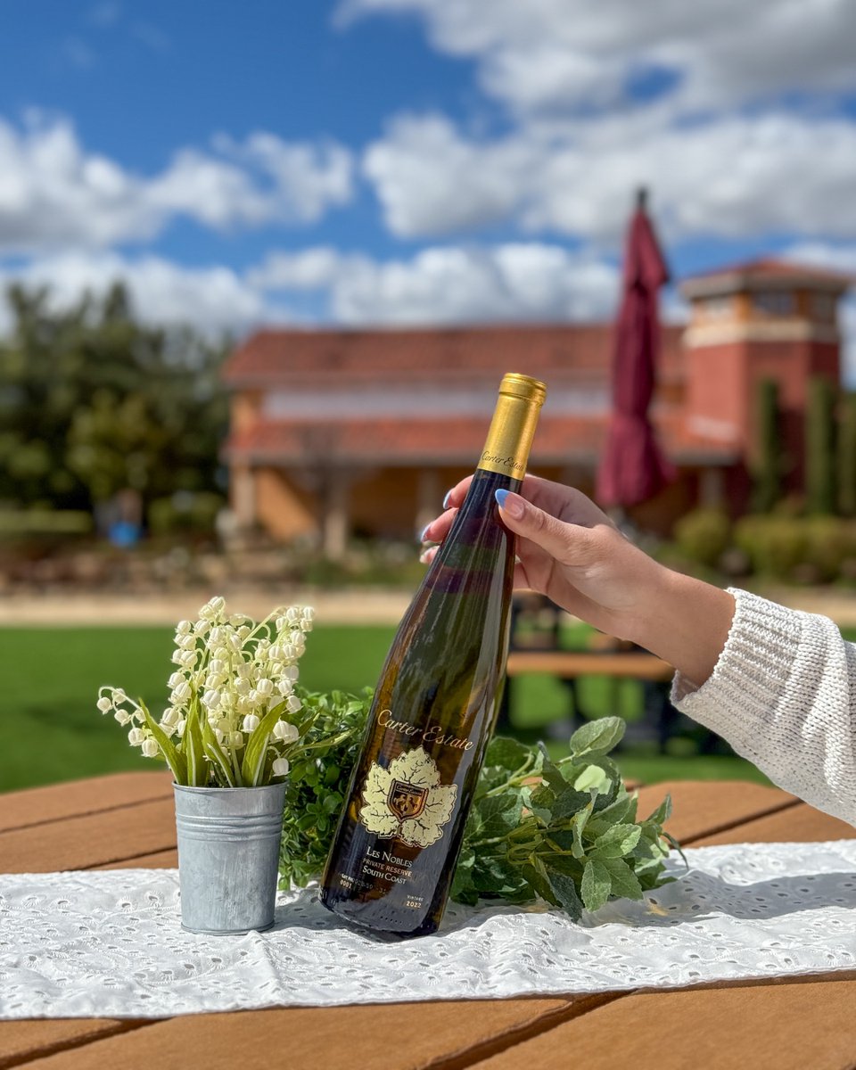 More perks at more places. 🍇 Your #CarterEstateWinery membership gives you access to:
• #SouthCoastWinery
• #CarterCreekWinery (TX)
Get exclusive deals on wine, stays, spa services and more!
carterestatewinery.com/wine/join-wine…

#WineClubLife #WineGetaway #CarterHospitality
