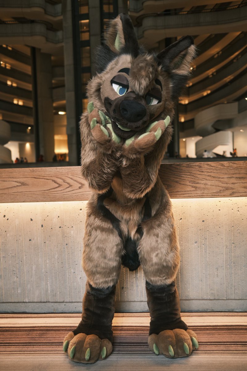 He’s totally gonna try and succeed at swindling you outta of something with that look 🤭

#FursuitFriday

📸 <a href="/BlakeTheWolf/">Blake</a>
🪡 <a href="/gnaws/">Gnaw ‼️</a>