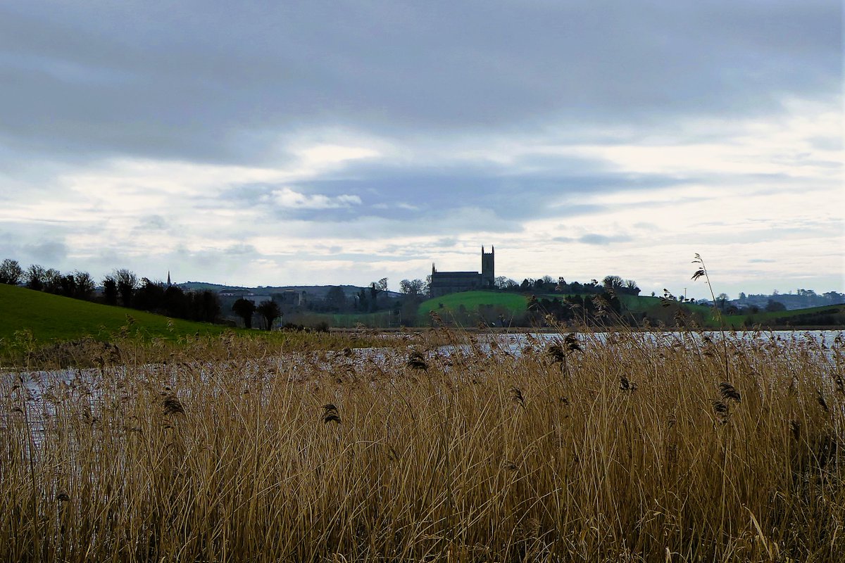 Down Cathedral as seen from the banks of the River Quoile below Inch Abbey #countydown