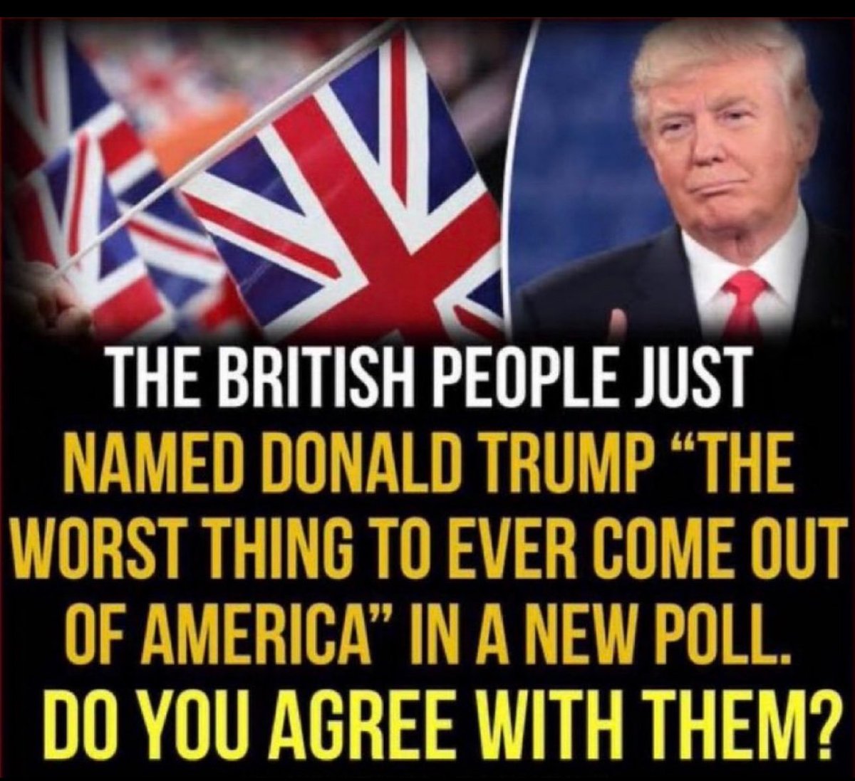 kangaroos991's tweet image. ✋✋✋