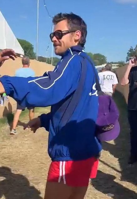 pulmón izquierdo   pulmón derecho
louis en                        harry en
glastonbury               glastonbury