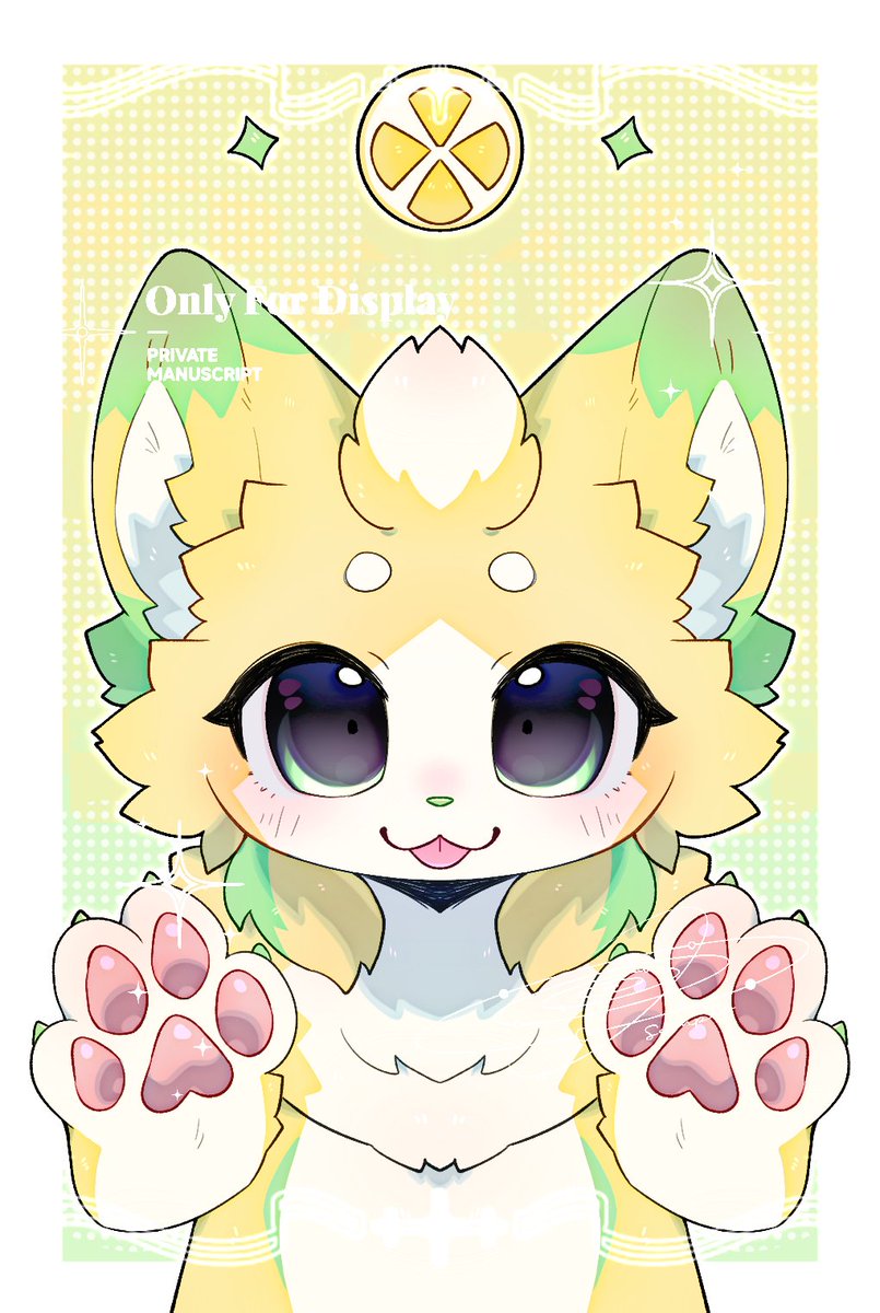 🐾🐾🐾❤️🩵💛