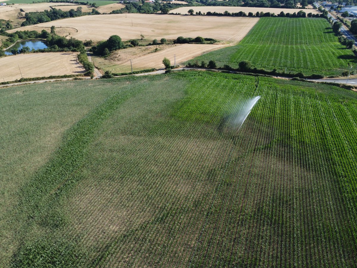 Matthias MENARD 🐄☘️🌿🌱🌾🥛🚜 (@menardmatthias) on Twitter photo Dans mes parcelles cette année, sans irrigation, ça serait catastrophique, qu’est ce qu’on attend pour stocker l’eau qui tombe en excès l’hiver? Faire des réserves qui serviraient à l’irrigation mais aussi à relâcher de l’eau dans la rivière pour garder un niveau correct l’été 🤔 Dans mes parcelles cette année, sans irrigation, ça serait catastrophique, qu’est ce qu’on attend pour stocker l’eau qui tombe en excès l’hiver? Faire des réserves qui serviraient à l’irrigation mais aussi à relâcher de l’eau dans la rivière pour garder un niveau correct l’été 🤔