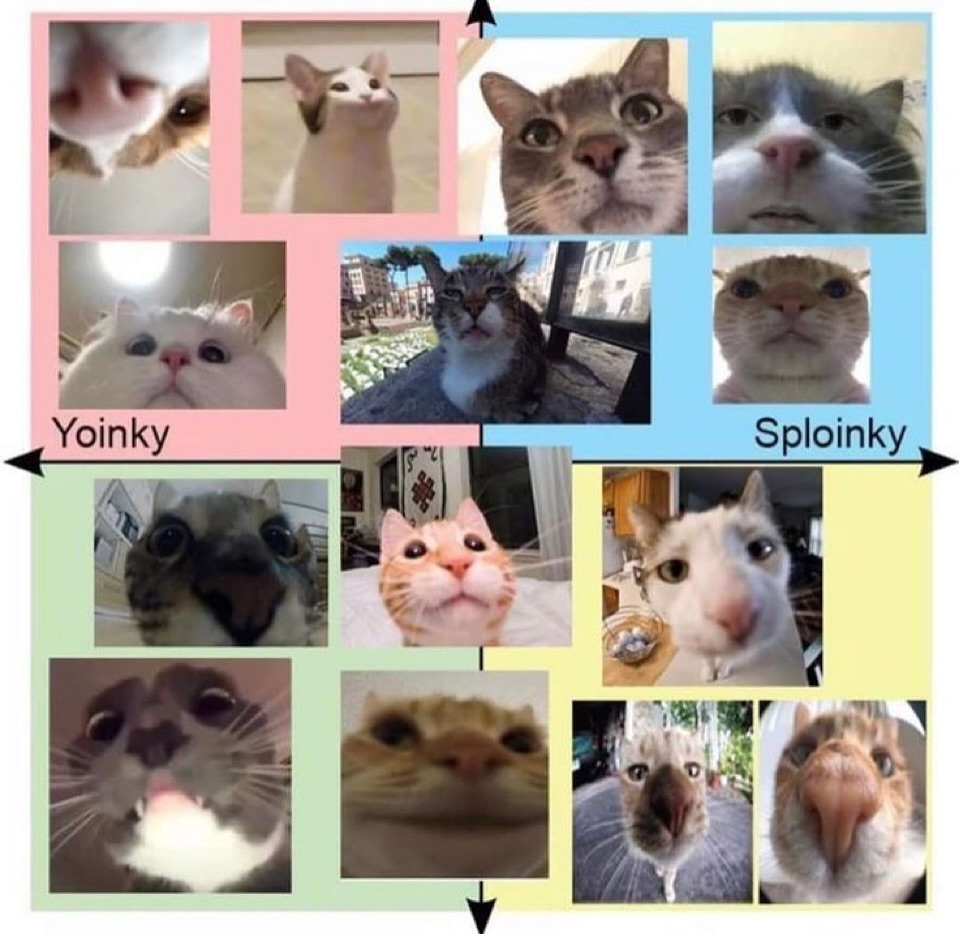 ㅤ