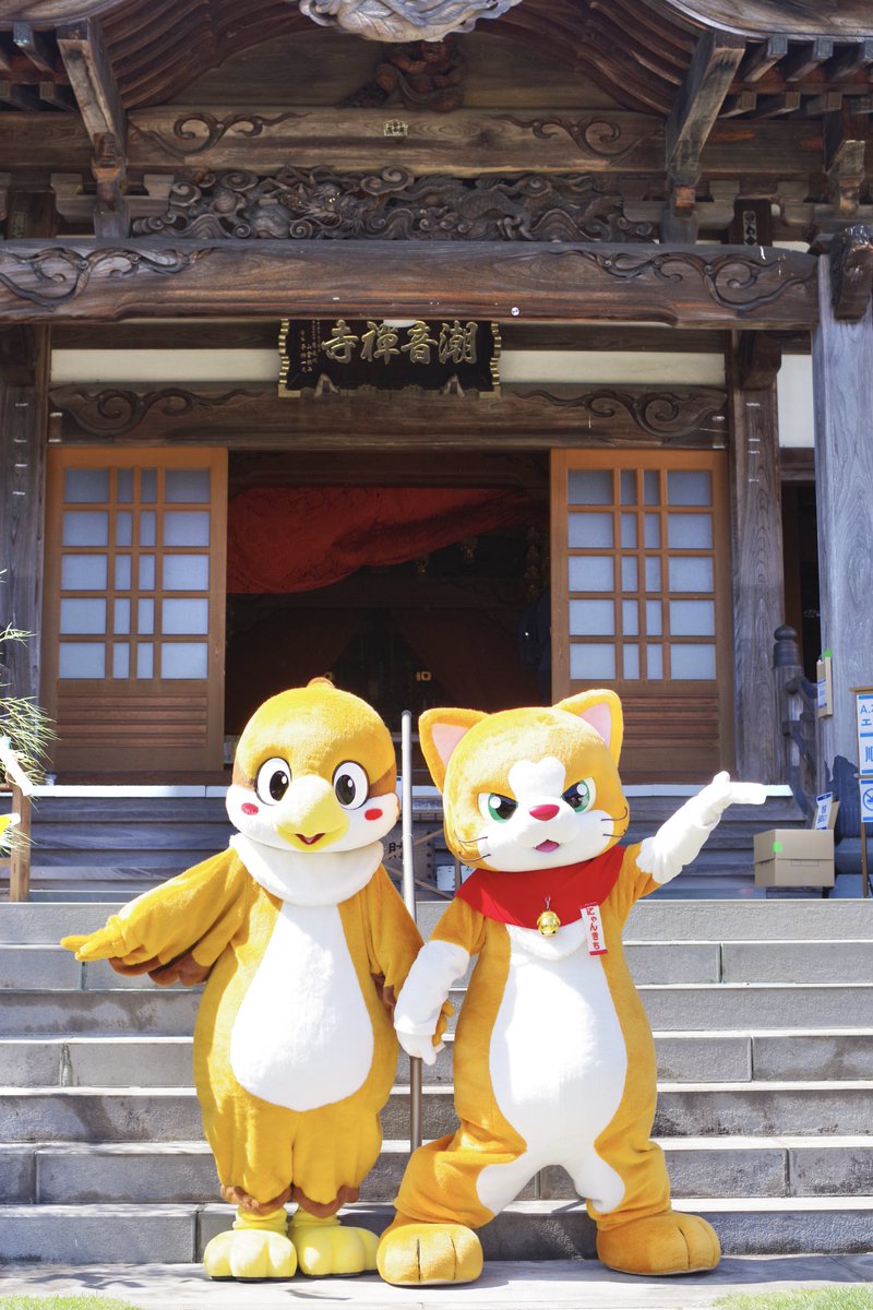 2025/06/21
てらとわ祭
小田原市／潮音寺
その３

お寺さん（での地域イベント）で（キャラクターとはいえ捕食者–被捕食者関係の）猫と雀が共に遊ぶ、平和

ここは補陀落浄土かな😌🙏🏻