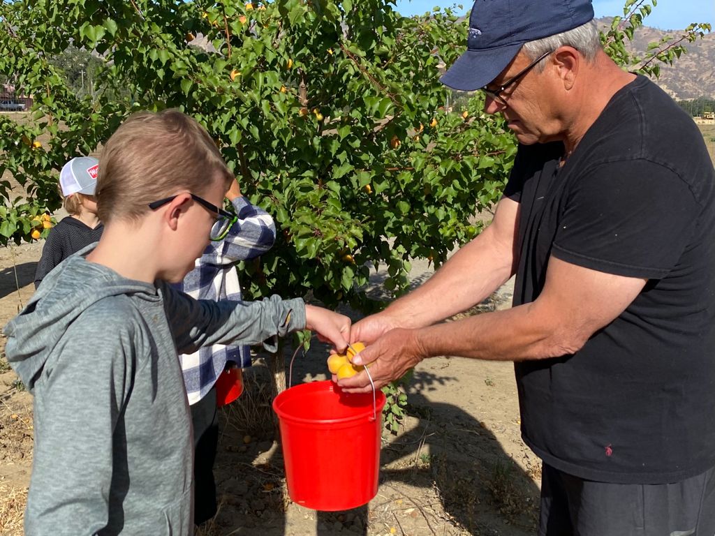 MarianiFamily's tweet image. Some kids grew up on playgrounds. We grew up in the orchards.🌳🍑

It's always been part of our family—and every season, the next generation picks up where we left off (literally).❤️

#TheMarianiFamily #FamilyTradition #OutdoorKids #RealFruitRealFlavor #RootedInCare #OrchardLife