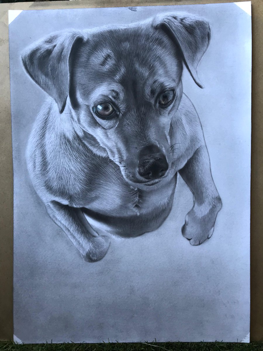 SainiBlessed's tweet image. Here’s a glimpse into my recent wildlife portrait drawing.
📌 DM for commissions | 🌍 I ship worldwide
#ArtVideo  #CharcoalDrawing #PencilDrawing #WildlifeArt #ArtLovers #ArtistOnX  #SupportArtists  #ArtReel #CreativeProcess