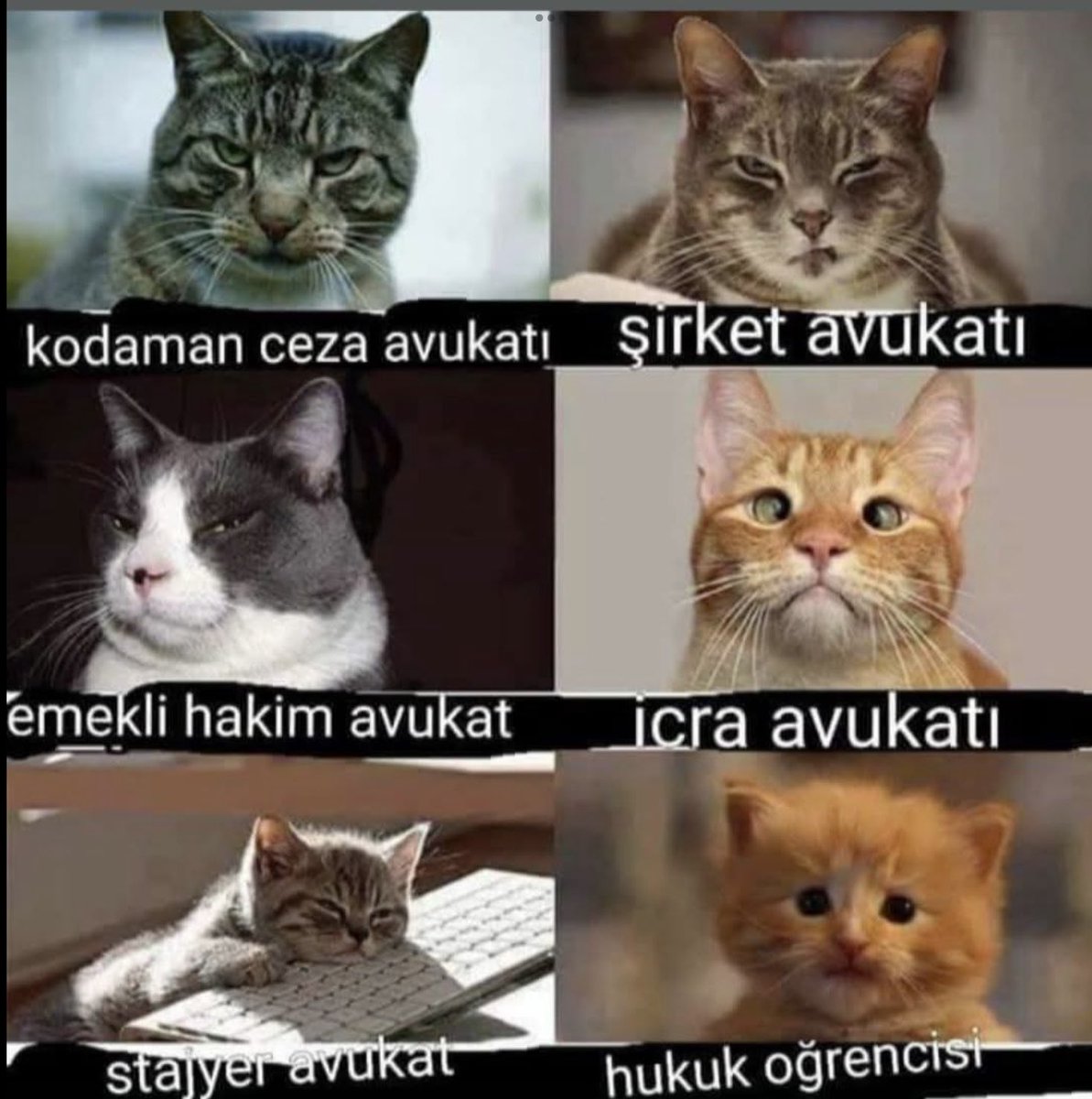 İcra avukatı niye şaşı.onu çözemedim 😂😂😂