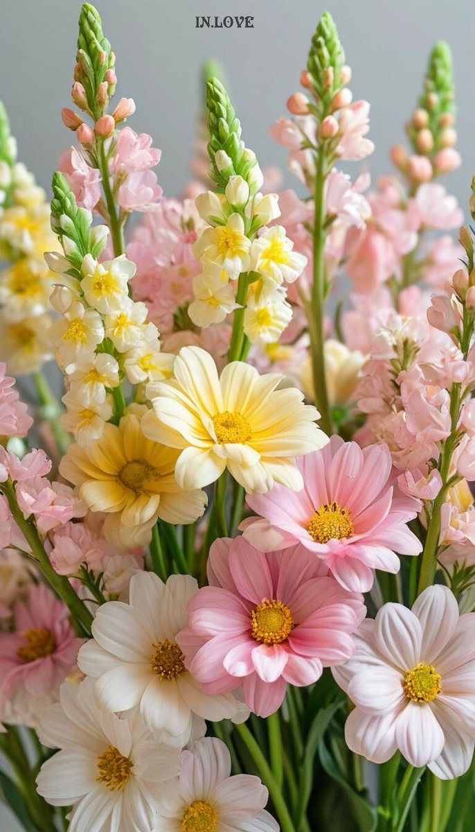 Angela (@angela3789677) on Twitter photo 