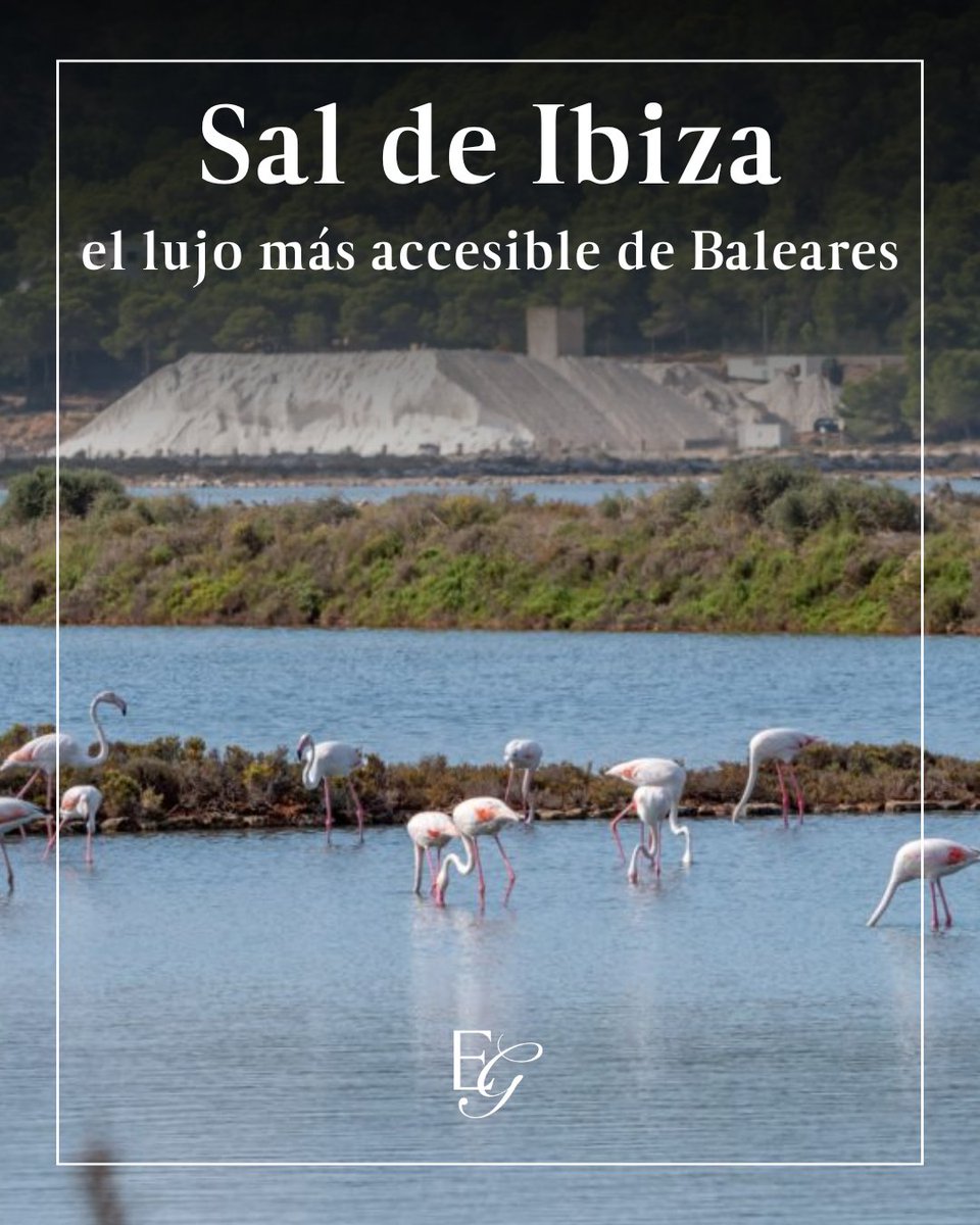🧂 Sal de Ibiza: sal marina virgen, sin refinar, rica en minerales y con alma artesanal. 🌍 Exportada a +30 países, es símbolo de lujo accesible y respeto por el origen.

📖 excelenciasgourmet.com/es/curiosidade…