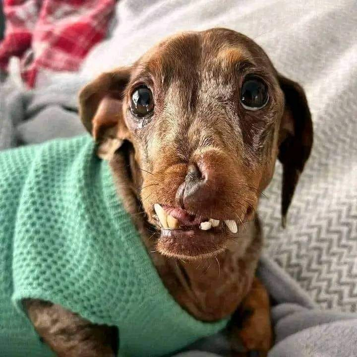 My mom said I'm beautiful.🥰