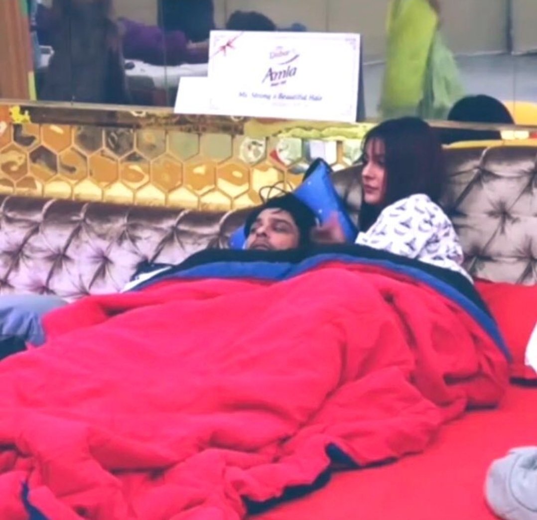 Gud Ninni Mere #SidNaaz 🫣🤫
