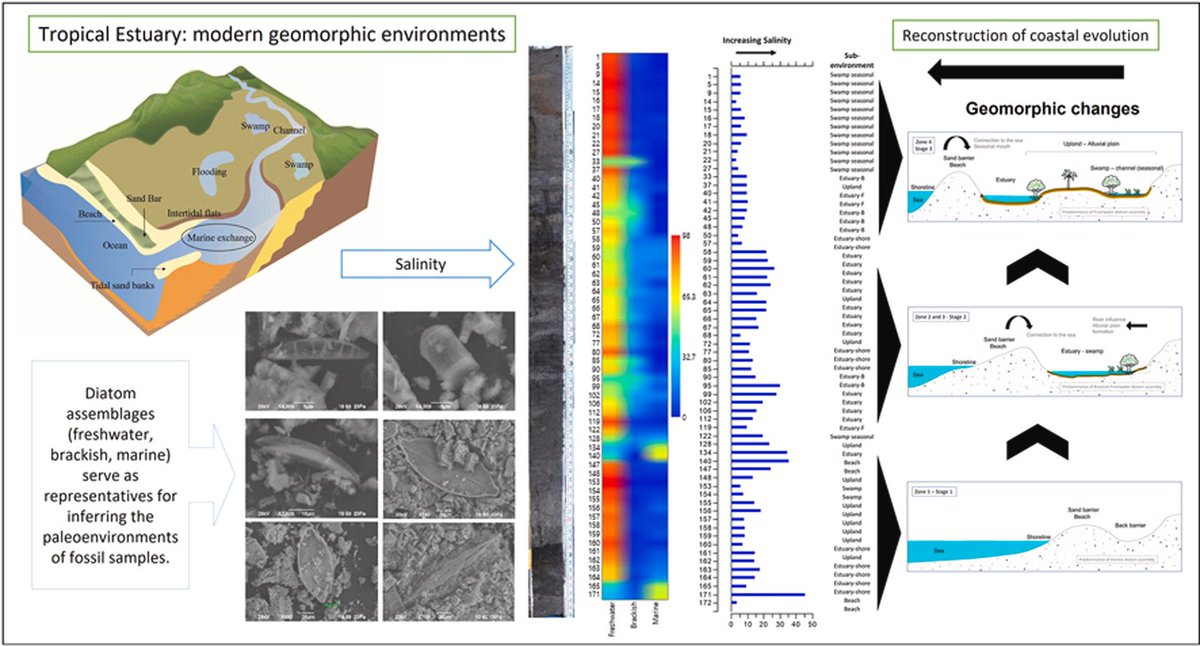 M. Teresa Ramírez-H. (@teresaramirezh) on Twitter photo We need #GoodNews: Happy to share our open access paper: Diatom-based palaeoenvironmental reconstruction of a coastal tropical ... sciencedirect.com/science/articl…
#CoastalEvolution #OaxacaMexico
<a href="/Okdominguez/">OswaldoCoca</a> great work! We need #GoodNews: Happy to share our open access paper: Diatom-based palaeoenvironmental reconstruction of a coastal tropical ... sciencedirect.com/science/articl…
#CoastalEvolution #OaxacaMexico
<a href="/Okdominguez/">OswaldoCoca</a> great work!