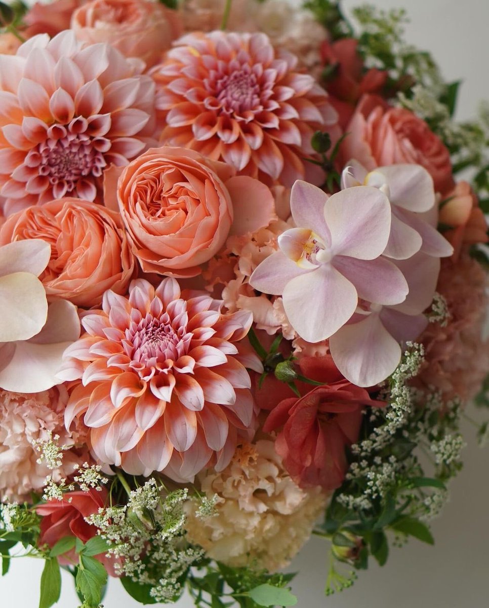 Angela (@angela3789677) on Twitter photo 