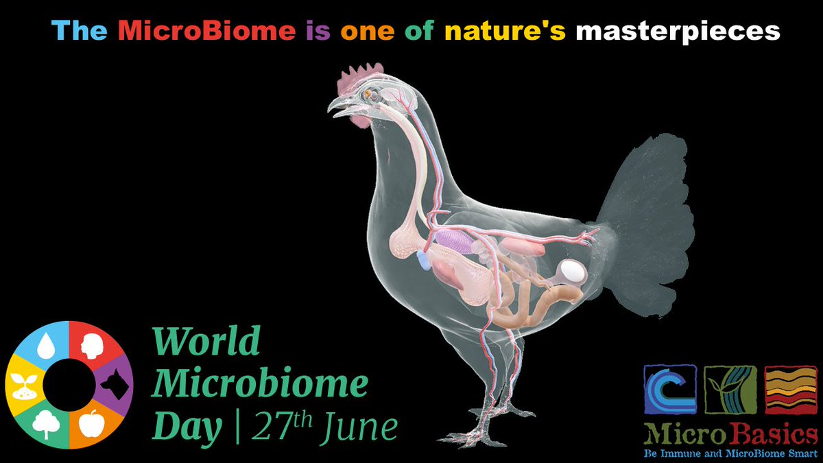 MicroBasics's tweet image. The microbiome is more than just gut bacteria — it’s one of nature’s true masterpieces. This World Microbiome Day, we celebrate the hidden ecosystem that powers health, growth, and resilience from the inside out. 

#WorldMicrobiomeDay #MicroBasics #GutHealthMatters