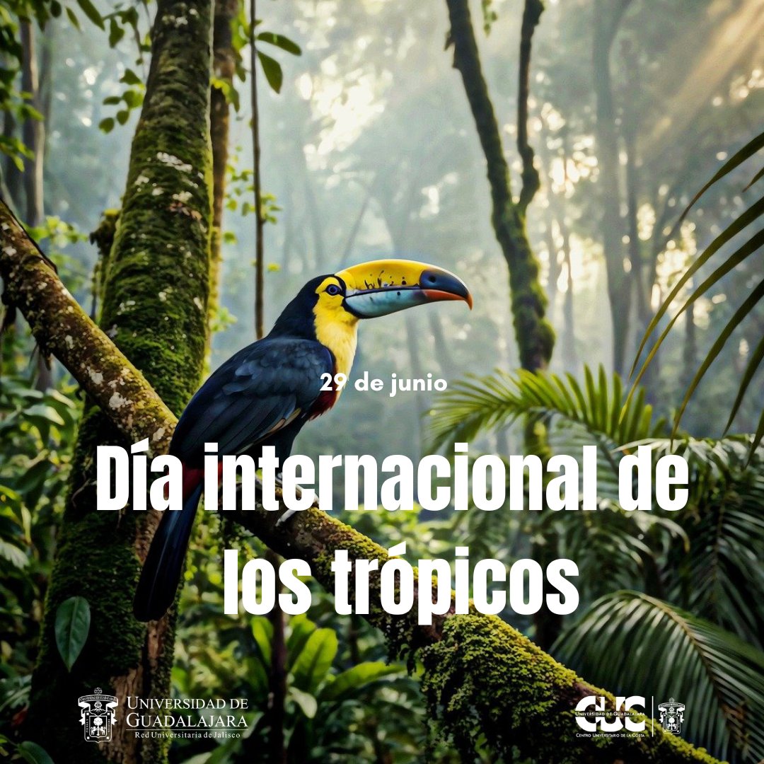Centro Universitario de la Costa (@cucosta) on Twitter photo ๐๐ขฬ๐ ๐๐ง๐ญ๐๐ซ๐ง๐๐๐ข๐จ๐ง๐๐ฅ ๐๐ ๐ฅ๐จ๐ฌ ๐๐ซ๐จฬ๐ฉ๐ข๐๐จ๐ฌ | El objetivo es concientizar sobre los desafรญos especรญficos a los que se enfrentan las zonas tropicales y subrayar el importante papel que desempeรฑan los paรญses para los objetivos de desarrollo sustentable. ๐๐ขฬ๐ ๐๐ง๐ญ๐๐ซ๐ง๐๐๐ข๐จ๐ง๐๐ฅ ๐๐ ๐ฅ๐จ๐ฌ ๐๐ซ๐จฬ๐ฉ๐ข๐๐จ๐ฌ | El objetivo es concientizar sobre los desafรญos especรญficos a los que se enfrentan las zonas tropicales y subrayar el importante papel que desempeรฑan los paรญses para los objetivos de desarrollo sustentable.