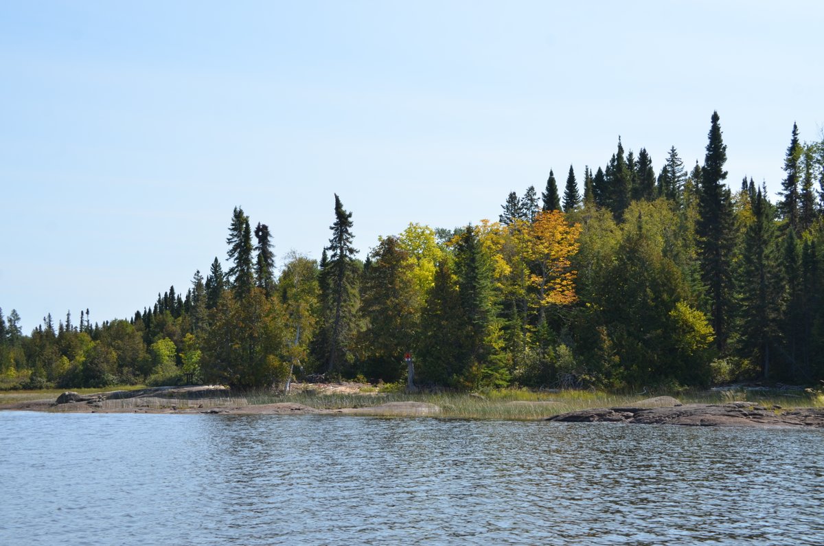 Parks are protected for a reason. Fushimi Lake’s diverse habitat, from wetlands to old growth forests, nurtures a variety of species that play a crucial role in our greater ecological network. Find out more with this week's Ontario Parks blog: blog.ontarioparks.ca/forever-protec…
#DiscoverOP