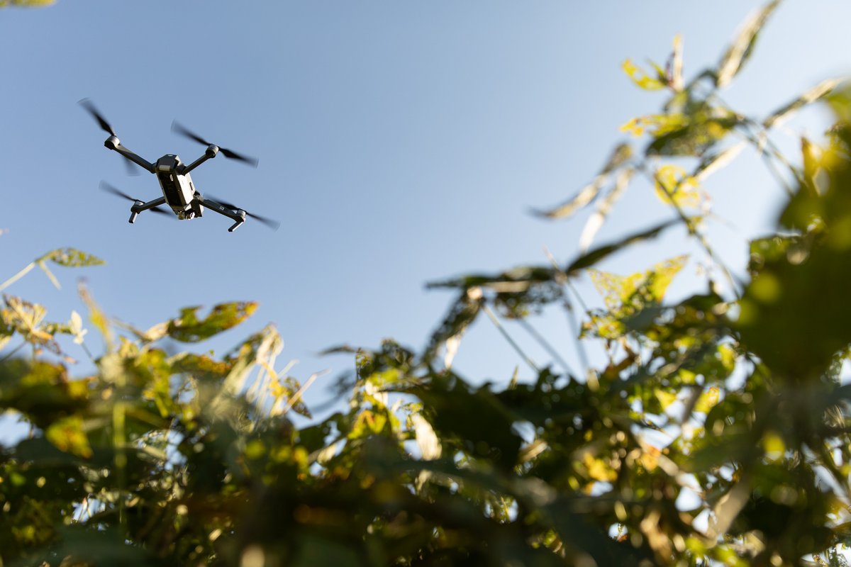 KsSoybean's tweet image. A team of K-State researchers need farmers' opinions on using technologies for ag purposes for their KSC funded project. Take the survey for a chance to win a $100 gift card here: kstate.qualtrics.com/jfe/form/SV_3m…
Photo Credit: United Soybean Board