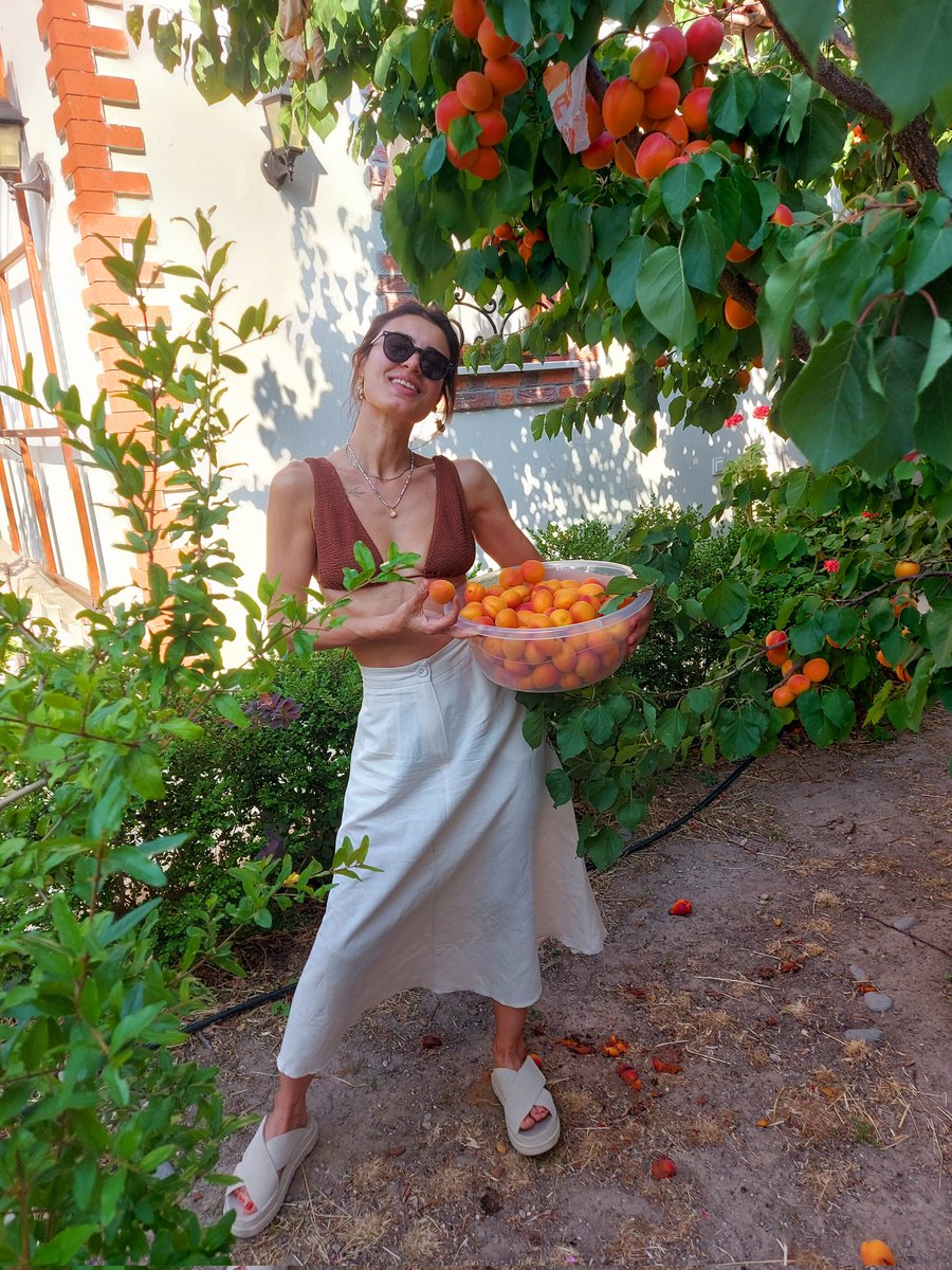 Gündem karışık, Kılıçdar yine bir işler peşinde. Git torun sev diye söze girecektim ama o kadar umrumda degil. Şu kayısıların toplanmasi bile Chp'nin iç işlerinden daha mühim benim için.