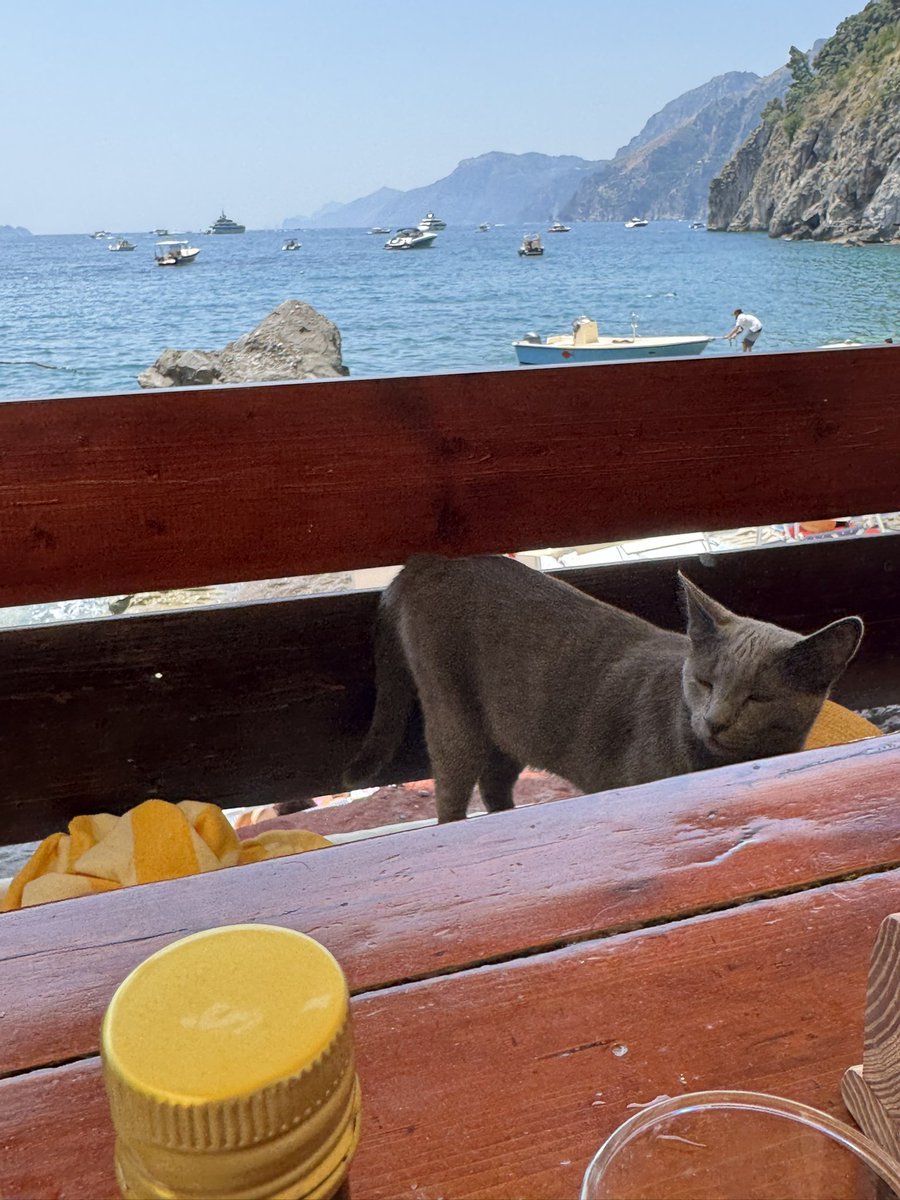 Una forchetta in più per il mio amico 🐈‍⬛