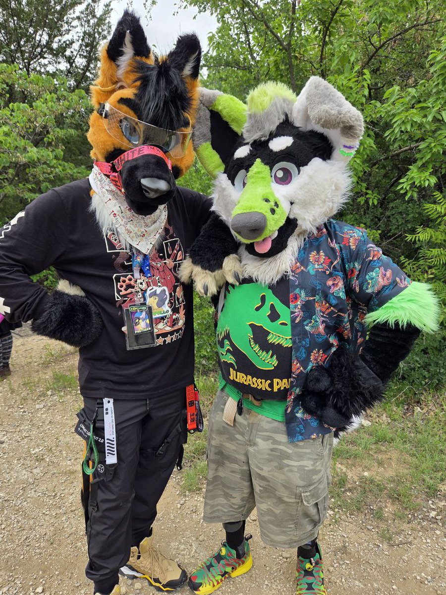 Night Wolf corgi butt 🔜 ACFI (@corgsky27) on Twitter photo My buddy <a href="/The_Foxy_Apollo/">Apollo Shinn @MFF 25</a>
Is one of the coolest furs I met he comes to Texas and visits friend's and I can say he's a good one!
#FursuitPhoto #furry #furrylife #furry4life #furryfandom #furrycommunity #fursuitphotoshoot #texasfurs #furry4life #furrylife #fyp #fursuitfriday My buddy <a href="/The_Foxy_Apollo/">Apollo Shinn @MFF 25</a>
Is one of the coolest furs I met he comes to Texas and visits friend's and I can say he's a good one!
#FursuitPhoto #furry #furrylife #furry4life #furryfandom #furrycommunity #fursuitphotoshoot #texasfurs #furry4life #furrylife #fyp #fursuitfriday