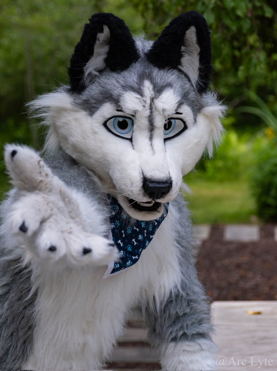 Let's go on an adventure together! 😁

#FursuitFriday 
📸: <a href="/Arc_Lyte/">Arc Lyte 🔜 FWA-AC-IFC</a>