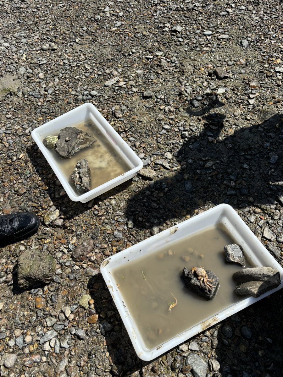 The William Hogarth School tweet media