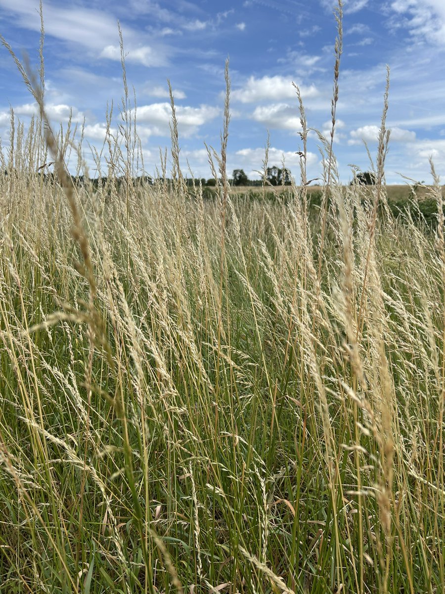 Kettering Wildlife corner tweet media
