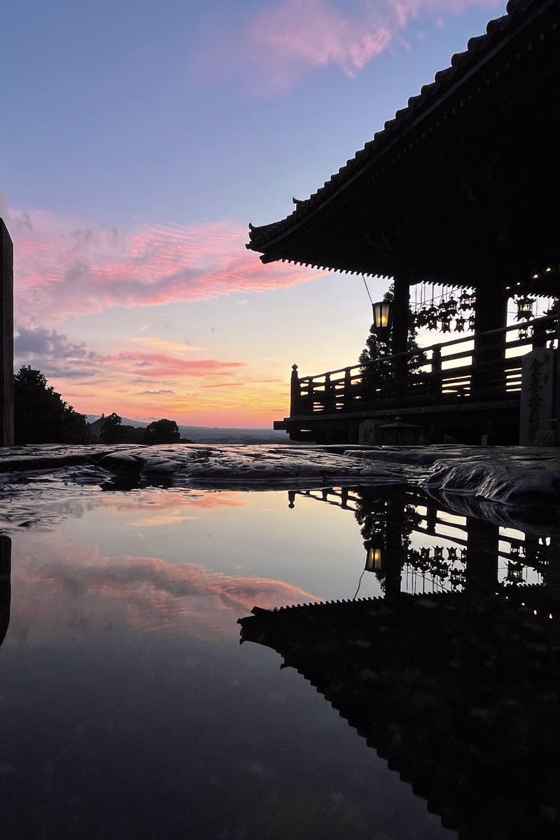 雨上がりの夕方に二月堂へ行くと、いつもと違った景色を見つけました☺️