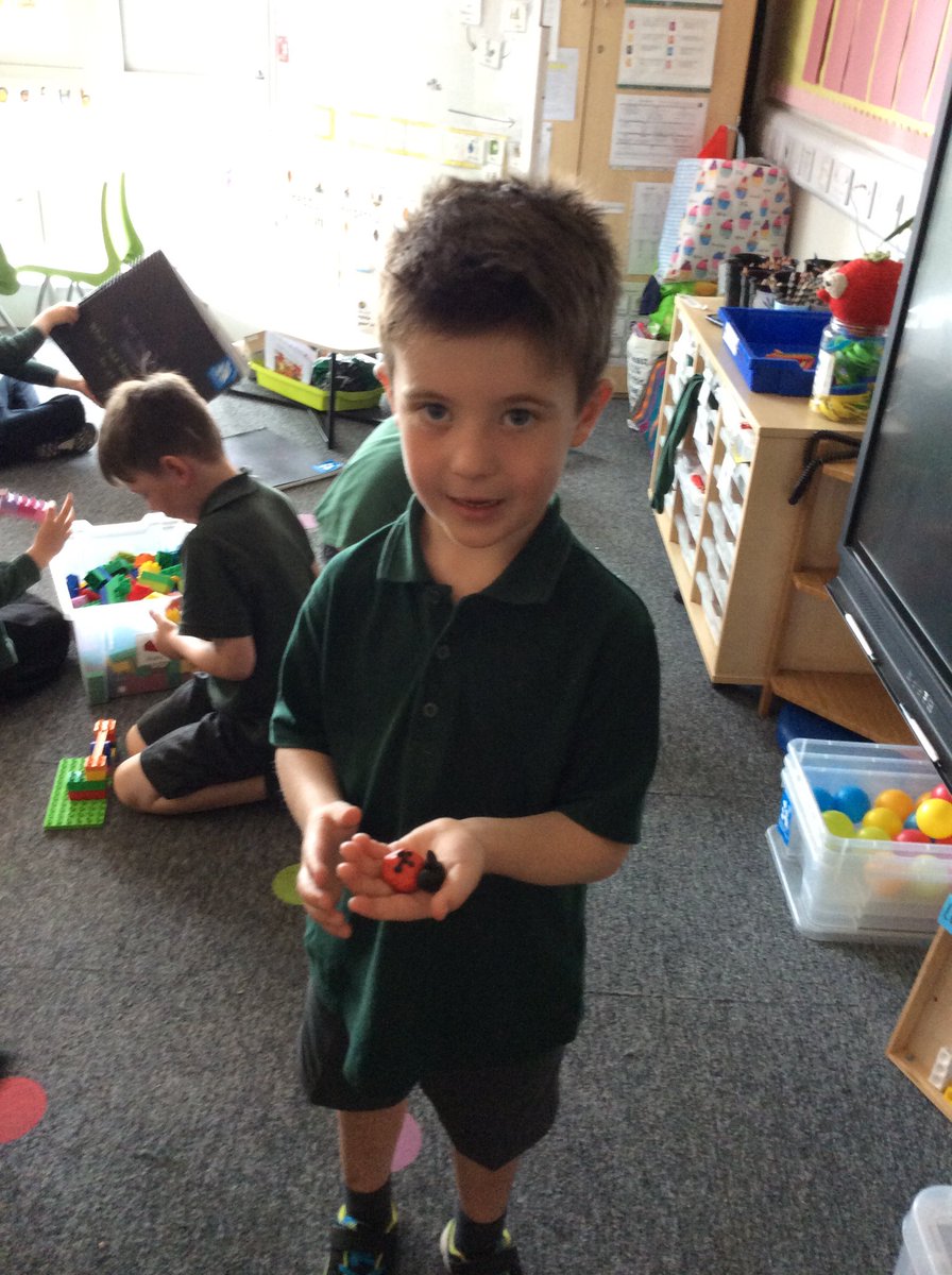 Letham Mains Primary School tweet media