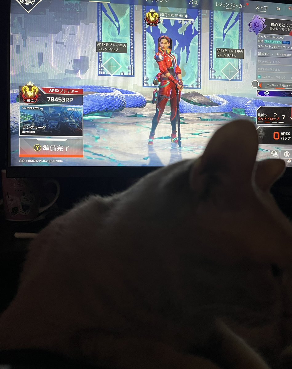 みくちん tweet media