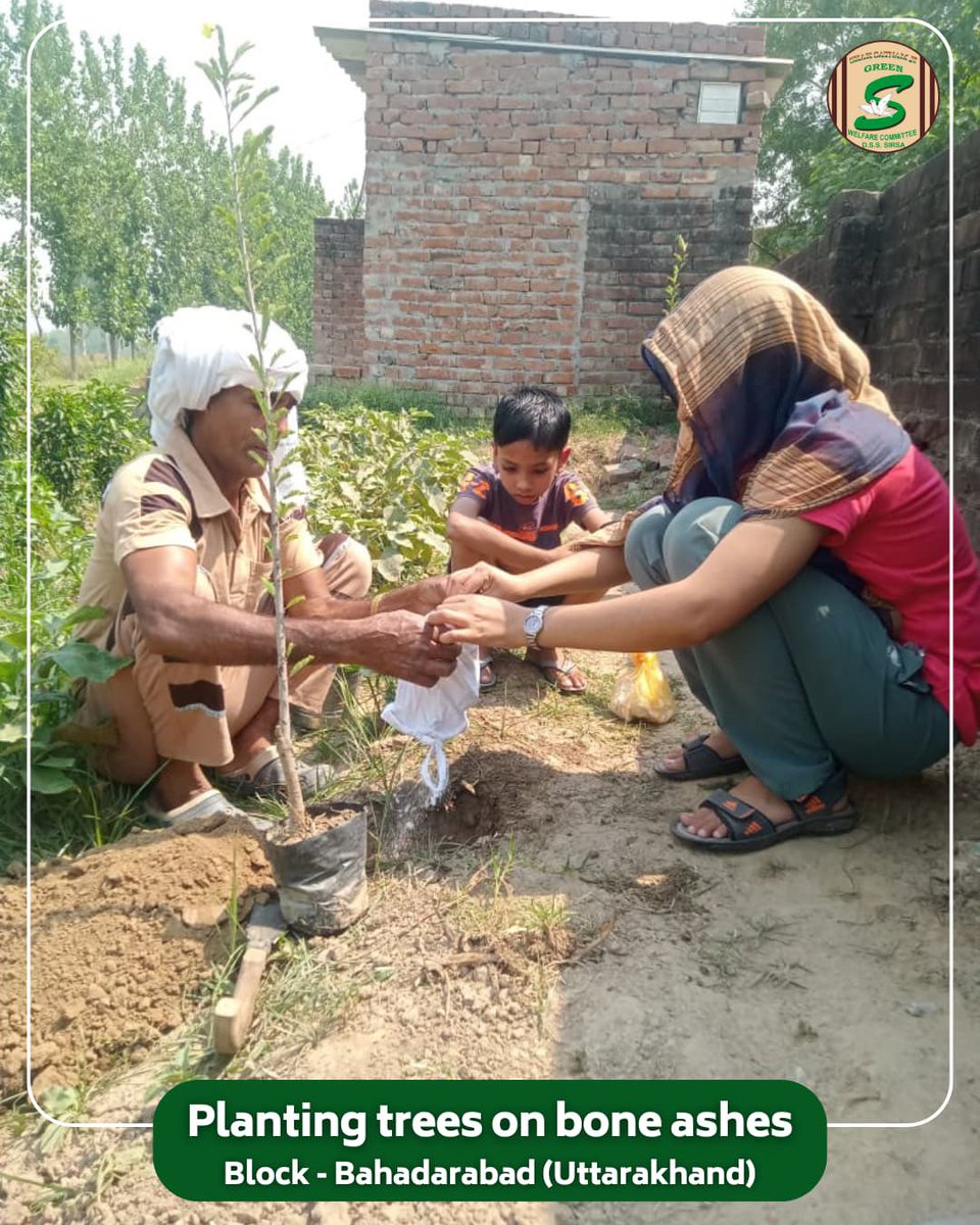 A tree planted in memory grows with love, breathes with hope, and lives forever.
Inspired by the divine teachings of Saint Dr. MSG Insan, a noble family from Bahadrabad, Uttarakhand, planted a sapling in the loving memory of their dear one. This heartfelt act not only keeps their
