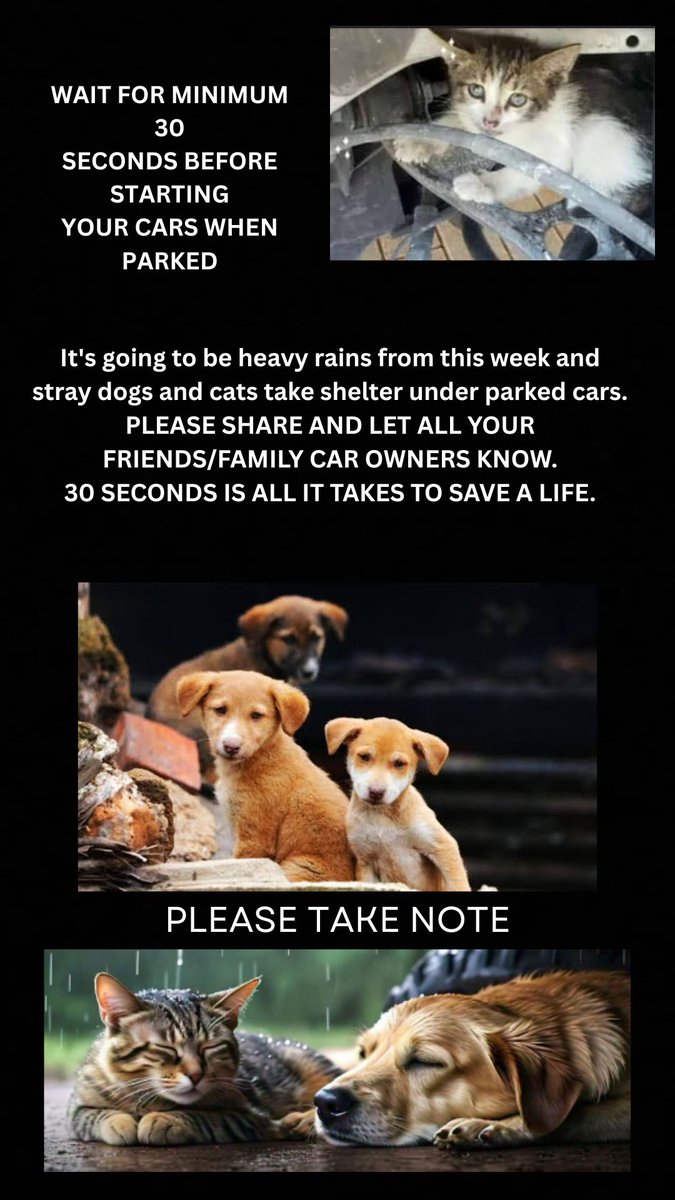 Me__Shantanu's tweet photo. This rainy season, your car might be a killer without you knowing.
Strays hide under parked cars.
⚠️ Just wait for 30 seconds before starting.
Let’s not crush innocence unknowingly.
RT &amp; spread the message.
@PetaIndia @mybmc
#StreetDogAwareness #RainySeasonCare https://t.co/JdEDhCEqDz