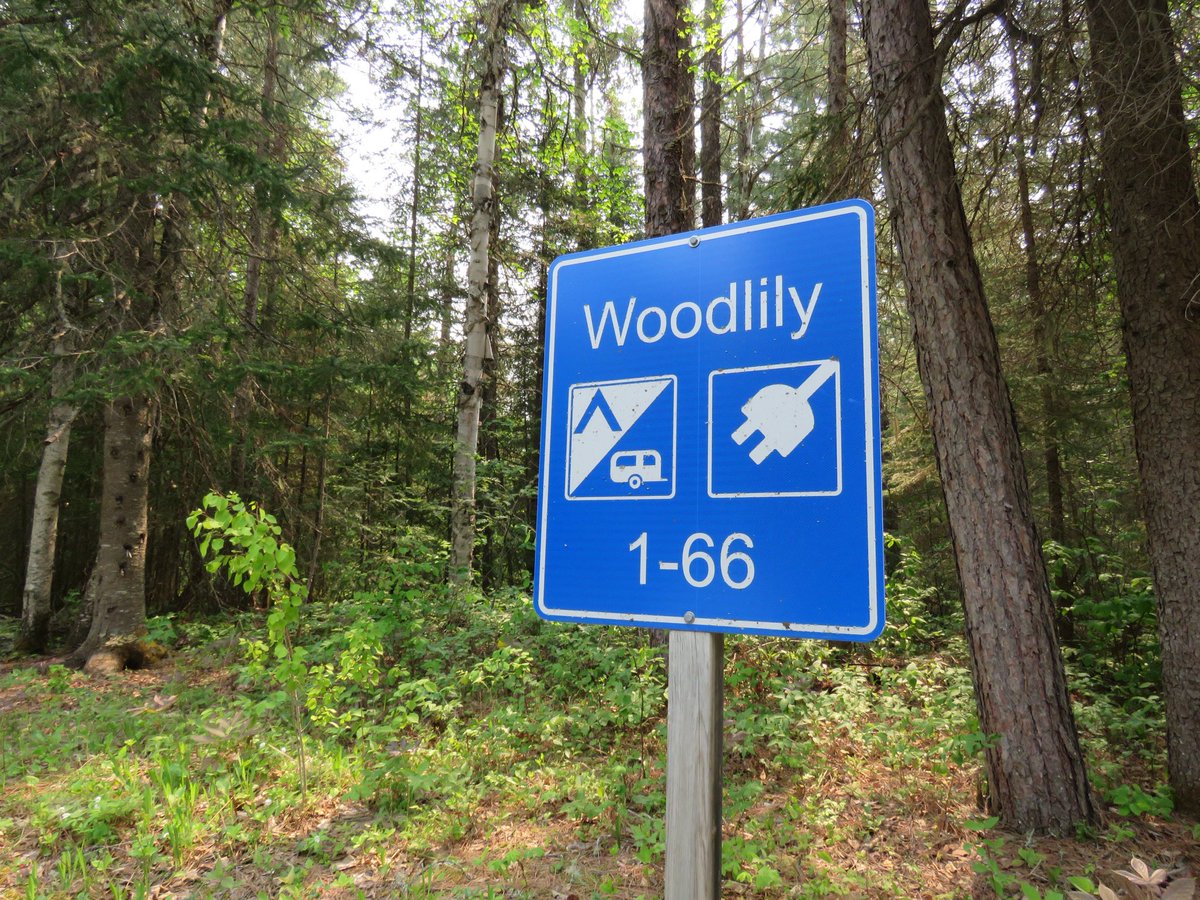 🌲Have you ever camped at White Lake Provincial Park?
•
🏕️White Lake is the best is because of our capacity for last minute bookings! White Lake often has lots of availability, making the perfect location for staying the night during your #SummerRoadTrips.

#DiscoverOP