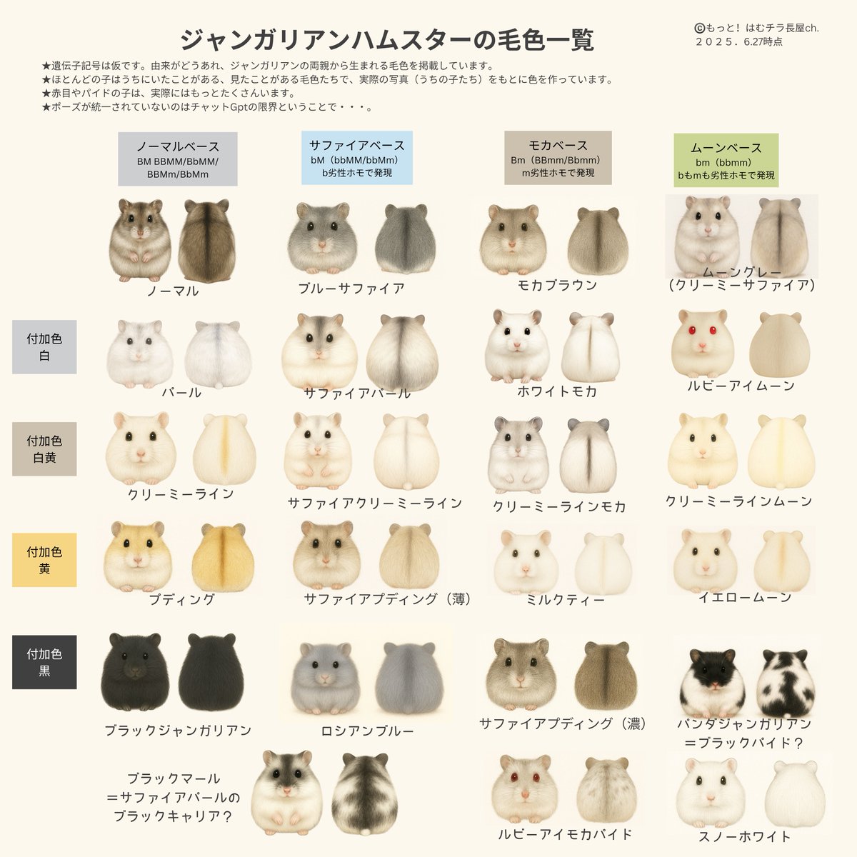 ジャンガリアンの毛色表を、ブラック付加色を追加して更新しました✨
ジャンガリアンの定義をどこに置くかですが、とりあえずジャンガリアン両親で生まれる子たちを掲載☺️掲載できてない色もいます💦
毛色の詳しいお話は、また動画でできたらと思います💕
良かったらご活用ください✨
#ハムスター