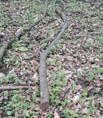 Регіоналіті tweet media