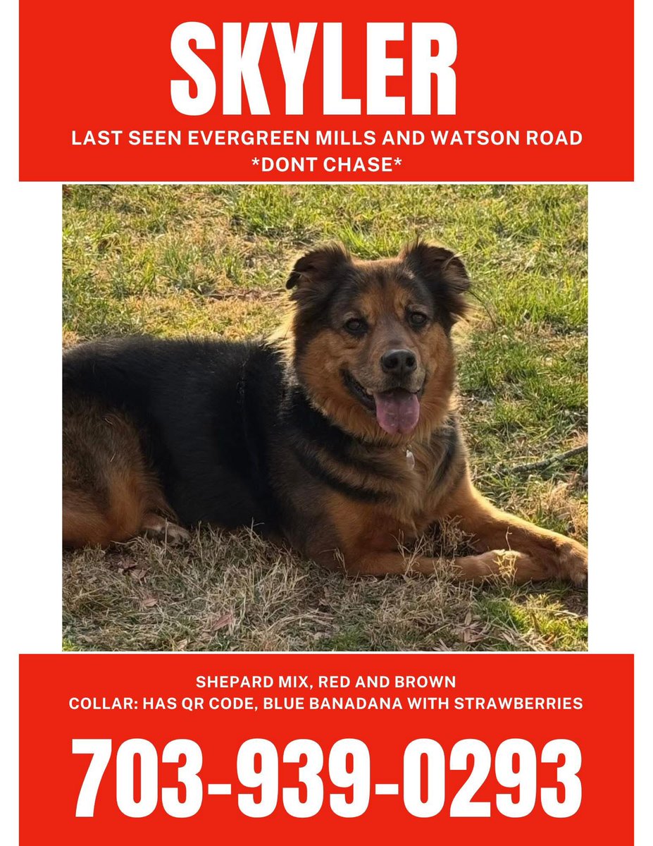 Loudoun County, VA area. This family is devastated!:

“Day four of Skyler missing. Please come home. Please keep searching. I miss her more than I need the air in my lungs. Thank you so much everyone for continuously helping.”