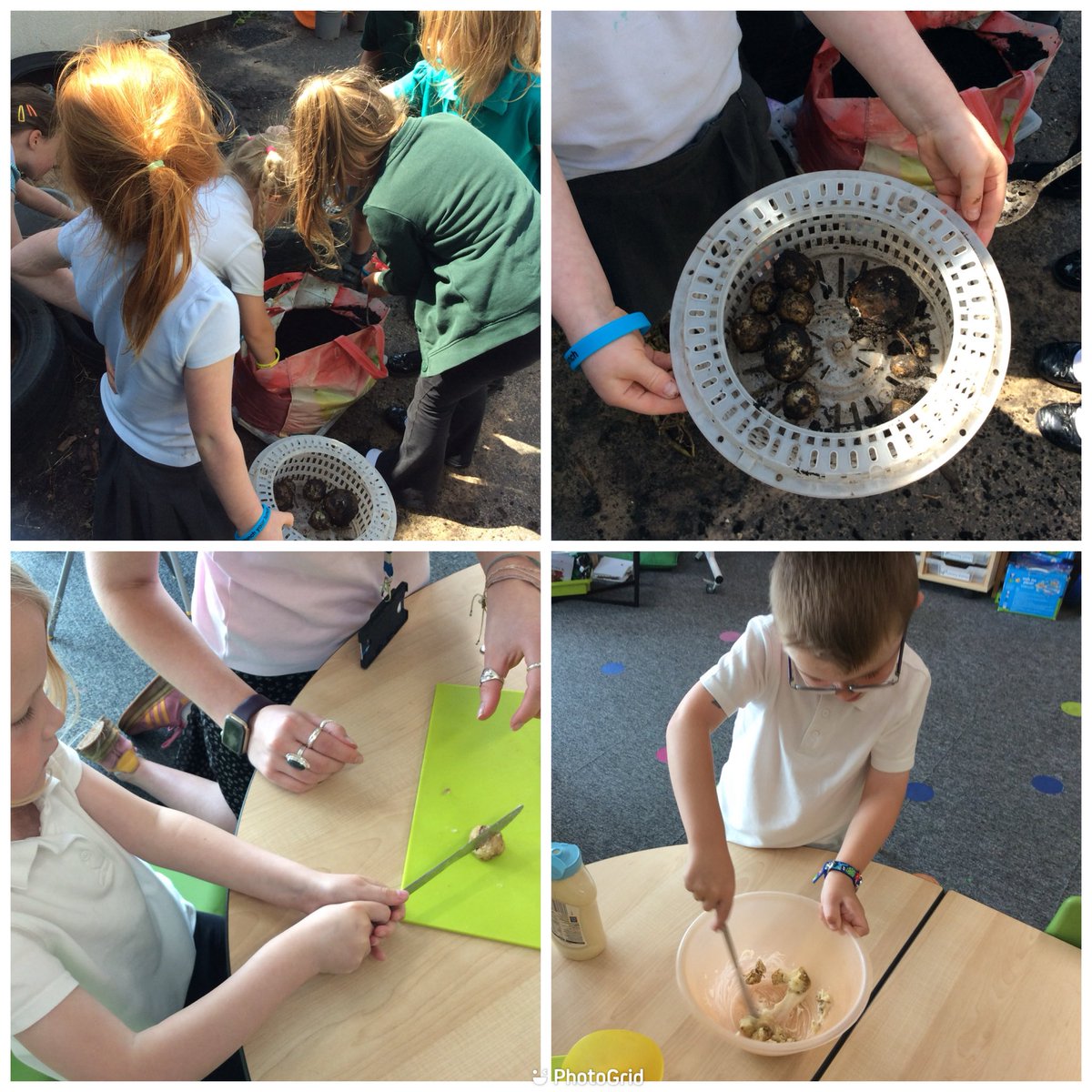 Letham Mains Primary School tweet media