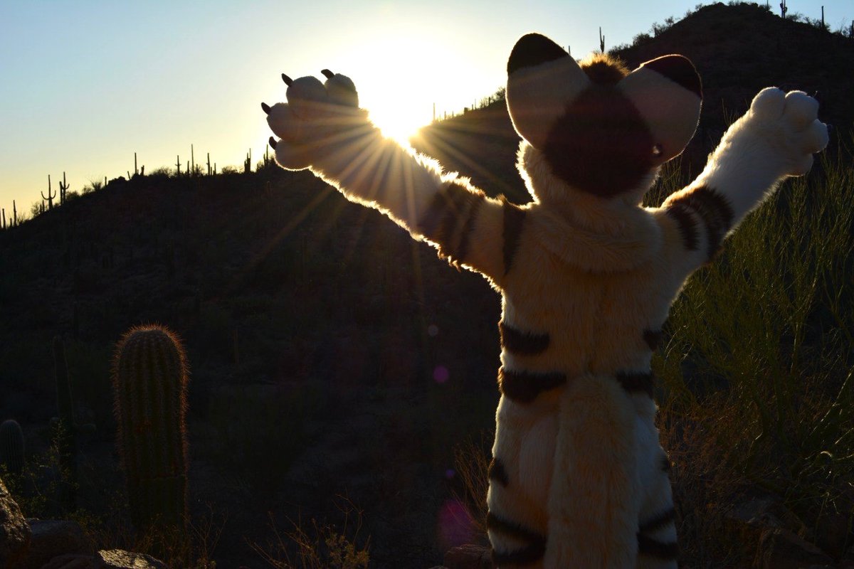 Porsche 92Ott π¦¦π¦¦ (@ritheott) on Twitter photo Praise the Sun. π
#FursuitFriday
#FennecFriday
π¦: <a href="/WishDaFennec/">β¨ Wish β¨</a>
πͺ‘: <a href="/RitzCostumes/">Ritz Costumes</a>
πΈ: <a href="/RiTheOtt/">Porsche 92Ott π¦¦π¦¦</a> Praise the Sun. π
#FursuitFriday
#FennecFriday
π¦: <a href="/WishDaFennec/">β¨ Wish β¨</a>
πͺ‘: <a href="/RitzCostumes/">Ritz Costumes</a>
πΈ: <a href="/RiTheOtt/">Porsche 92Ott π¦¦π¦¦</a>