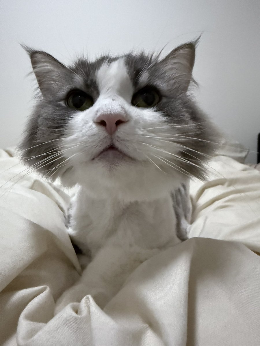 インスタ復活⸜(* ॑꒳ ॑*  )⸝