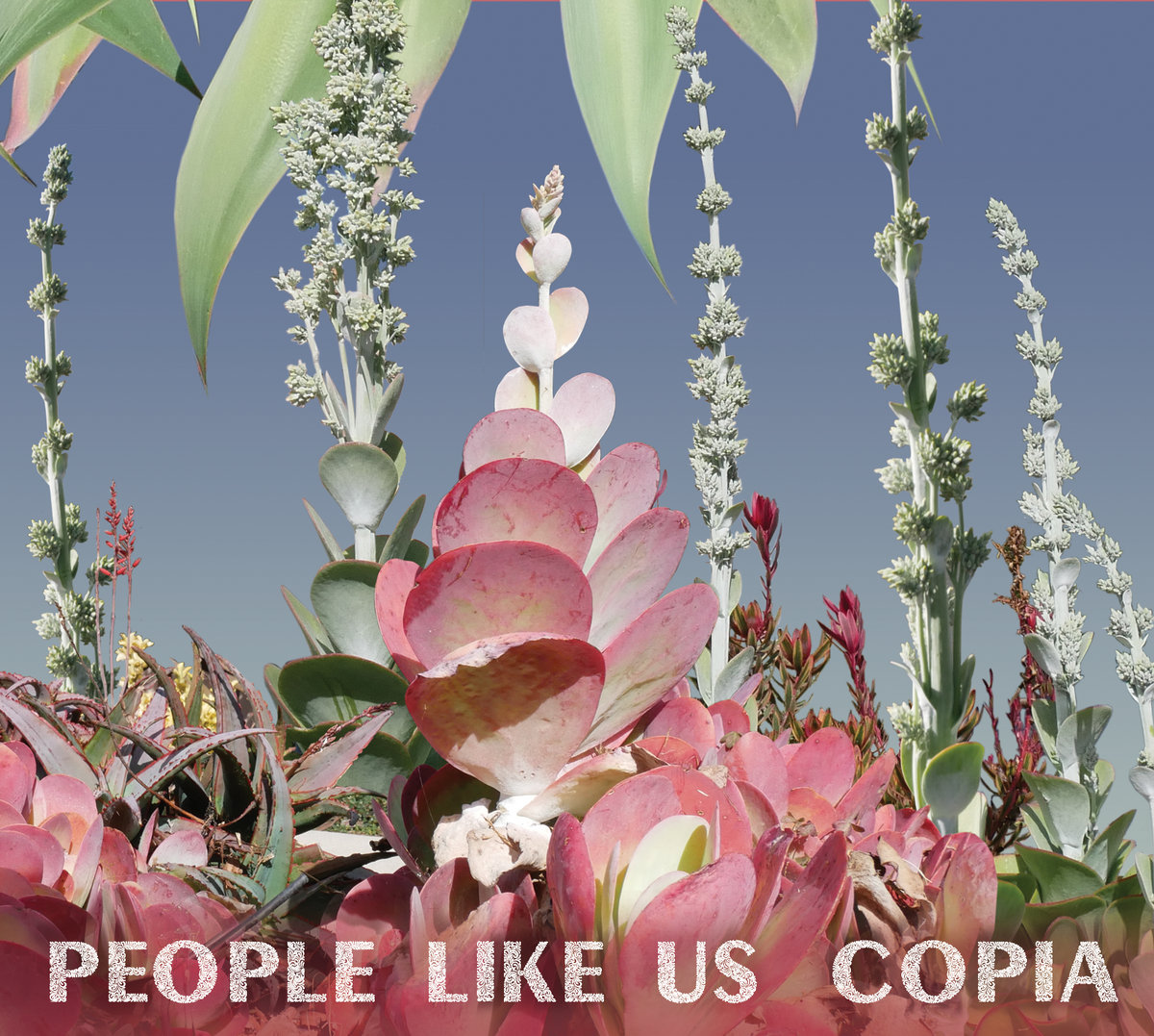 Tim Major tweet media