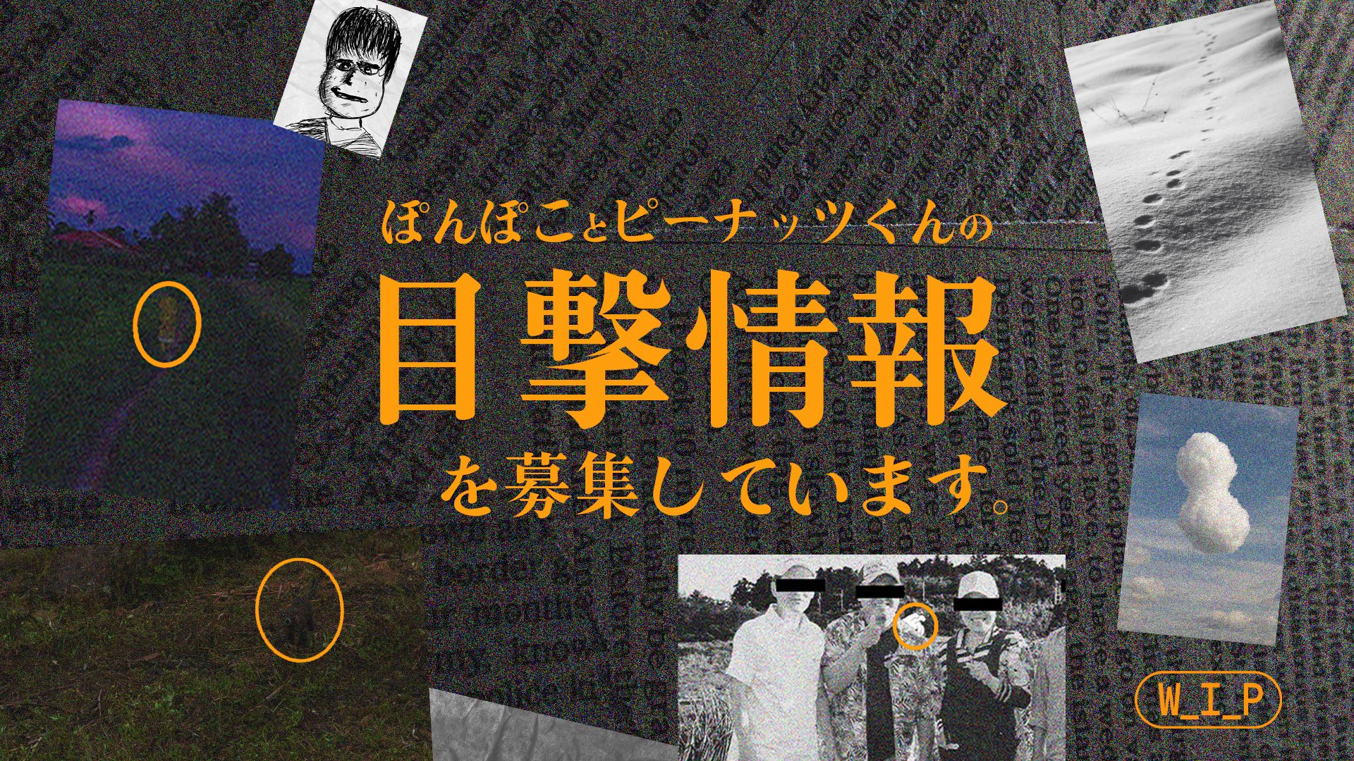 甲賀流忍者ぽんぽこ🍃たぬき！ on X: 