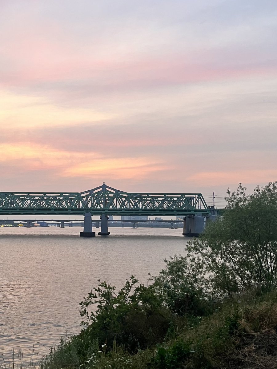 ddafm_en's tweet image. 韓国のソウルで今イチオシヒーリングスポットがハンガンなんだけど、定番のヨイドとかじゃなくて노들섬が絶景！✨
天気がいい時はカップルや友達でレジャーシートを引いてゆっくり過ごしてるよ🤍
デートスポットにもぴったりだし夕日が本当に綺麗に見えるから人生写真撮りたい人は絶対行くべき🫶🏻