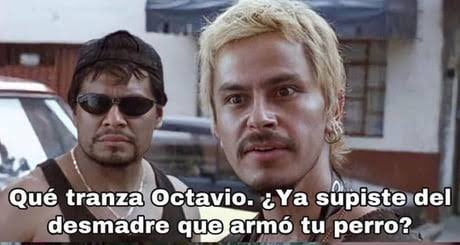 ExtraCancha's tweet photo. Qué tranza, raza? https://t.co/q3IuqMqK4d