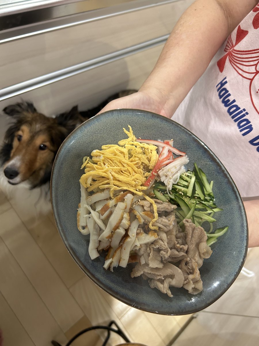 この冷やし中華の"おかしなところ"に気付ける人はいるかな…🤭フォカのおばあちゃんの特技が活かされてるんだけど、これかな？って思ったものがあったらリプで教えてね！