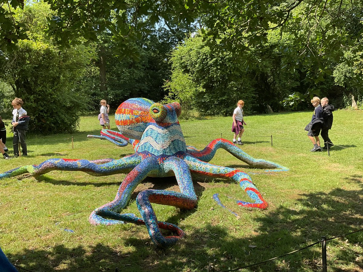 Dowson Primary tweet media