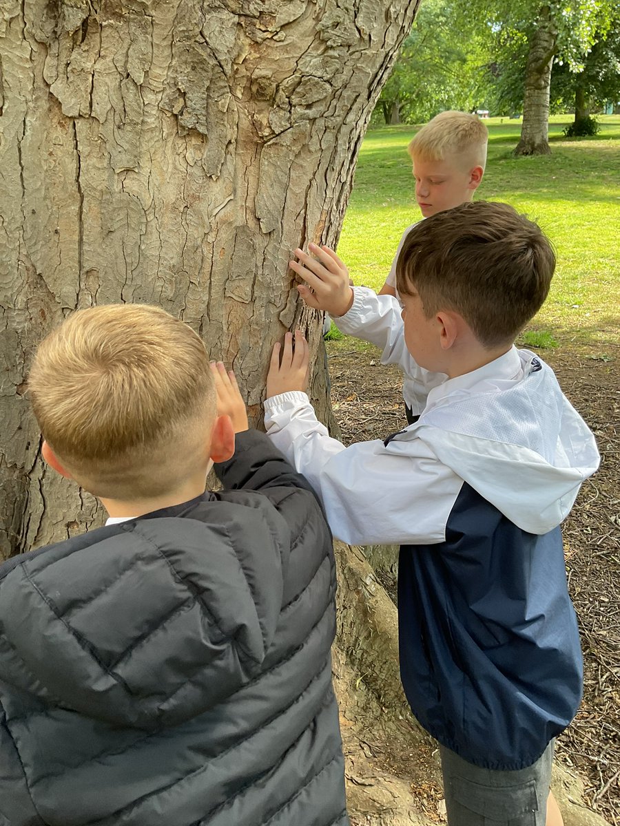 Dowson Primary tweet media